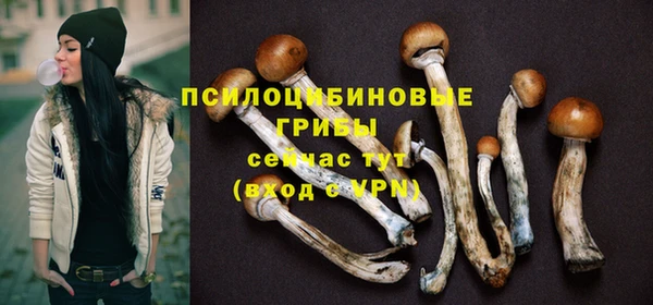 меф Арсеньев