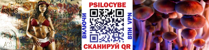 что такое   Голицыно  Псилоцибиновые грибы Psilocybe 